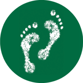 Sveriges Fotterapeuter logotyp