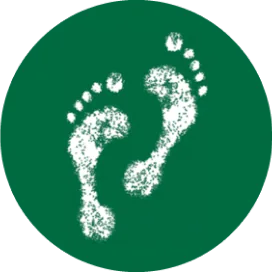 Sveriges Fotterapeuter logotyp